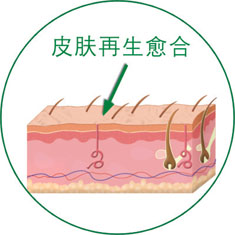 GA黄金甲(中国)最新官方网站