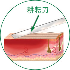 GA黄金甲(中国)最新官方网站
