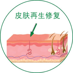 GA黄金甲(中国)最新官方网站
