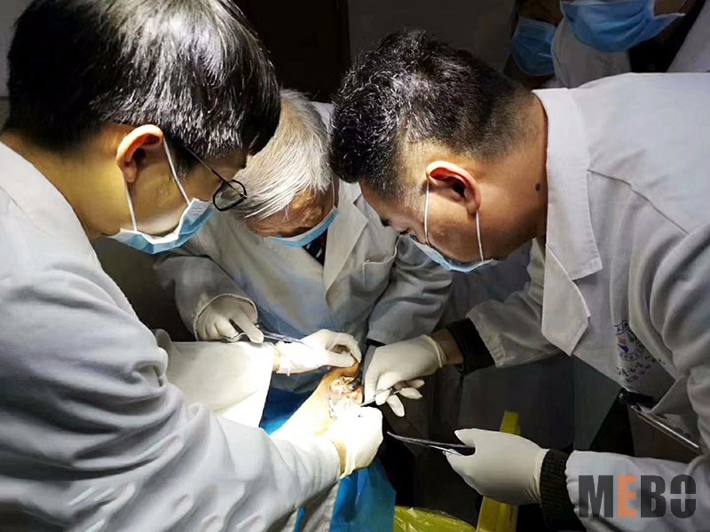 GA黄金甲(中国)最新官方网站
