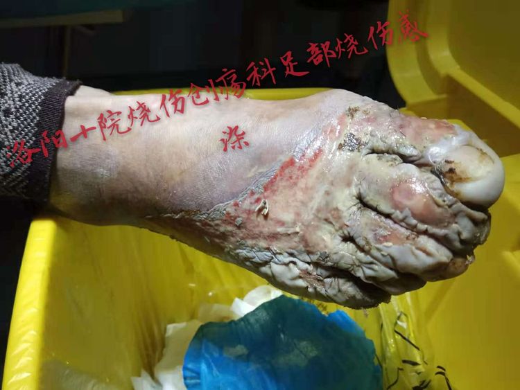GA黄金甲(中国)最新官方网站