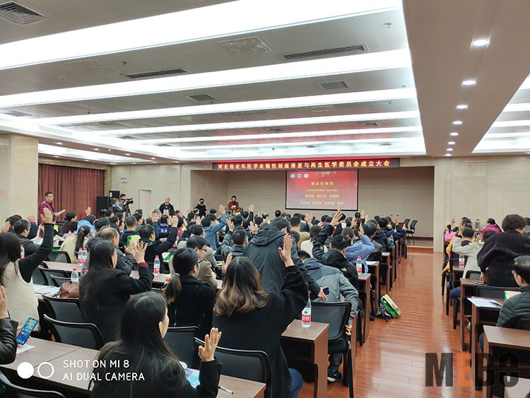 GA黄金甲(中国)最新官方网站