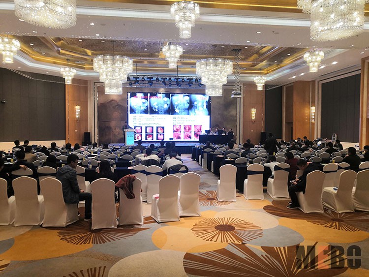 GA黄金甲(中国)最新官方网站