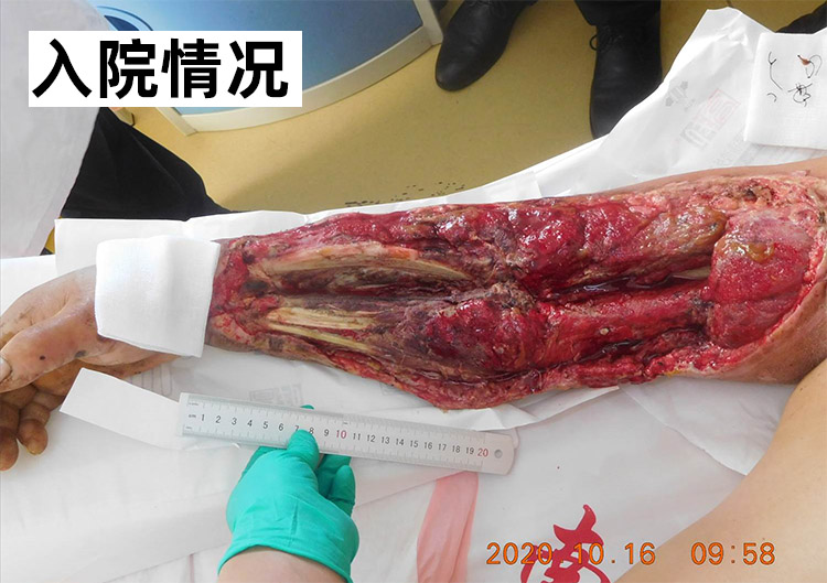 GA黄金甲(中国)最新官方网站