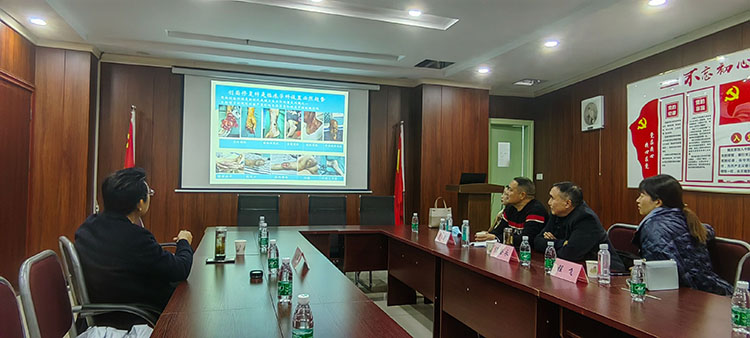 GA黄金甲(中国)最新官方网站