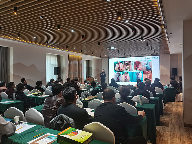 GA黄金甲(中国)最新官方网站