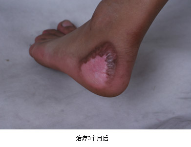 GA黄金甲(中国)最新官方网站