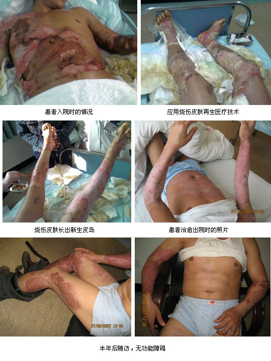 GA黄金甲(中国)最新官方网站
