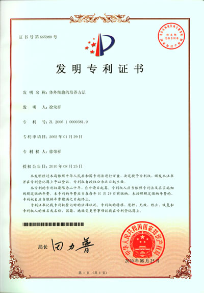 201092117301193755
