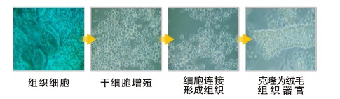 GA黄金甲(中国)最新官方网站