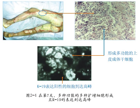 GA黄金甲(中国)最新官方网站