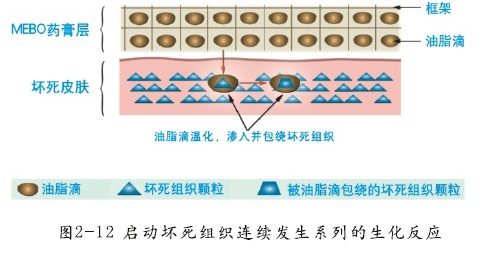 GA黄金甲(中国)最新官方网站