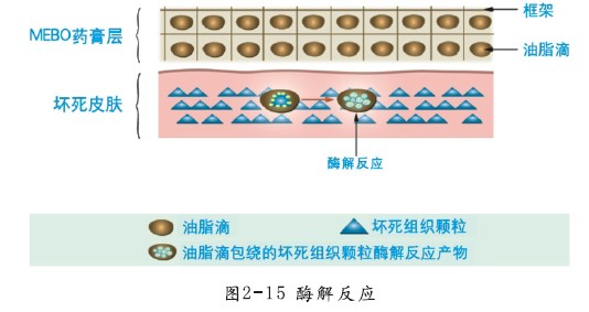 GA黄金甲(中国)最新官方网站