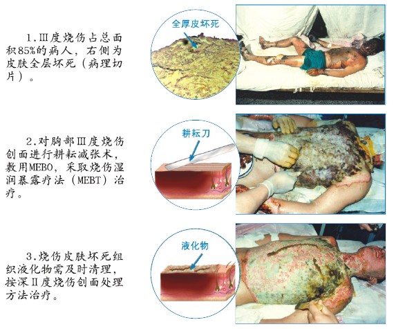 GA黄金甲(中国)最新官方网站