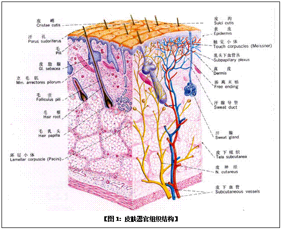 GA黄金甲(中国)最新官方网站