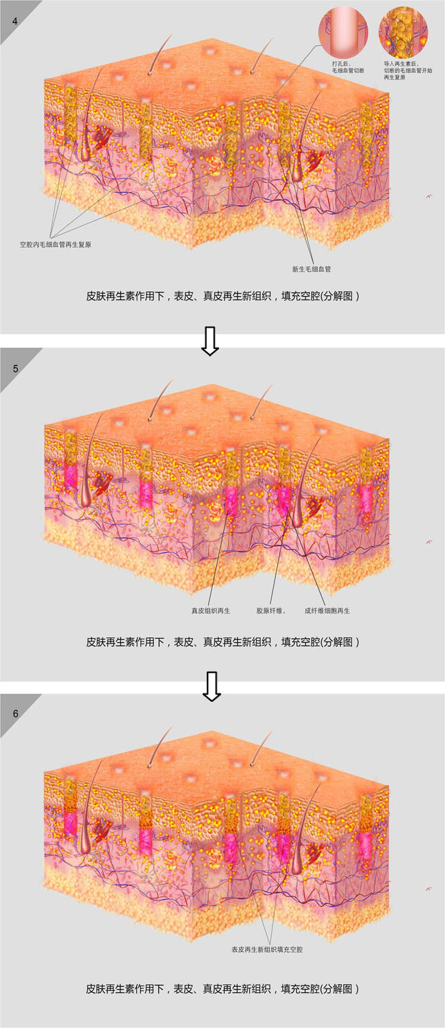 GA黄金甲(中国)最新官方网站