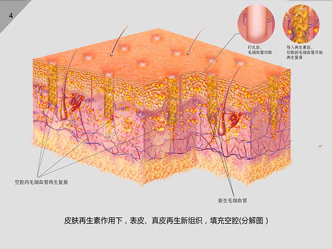 GA黄金甲(中国)最新官方网站