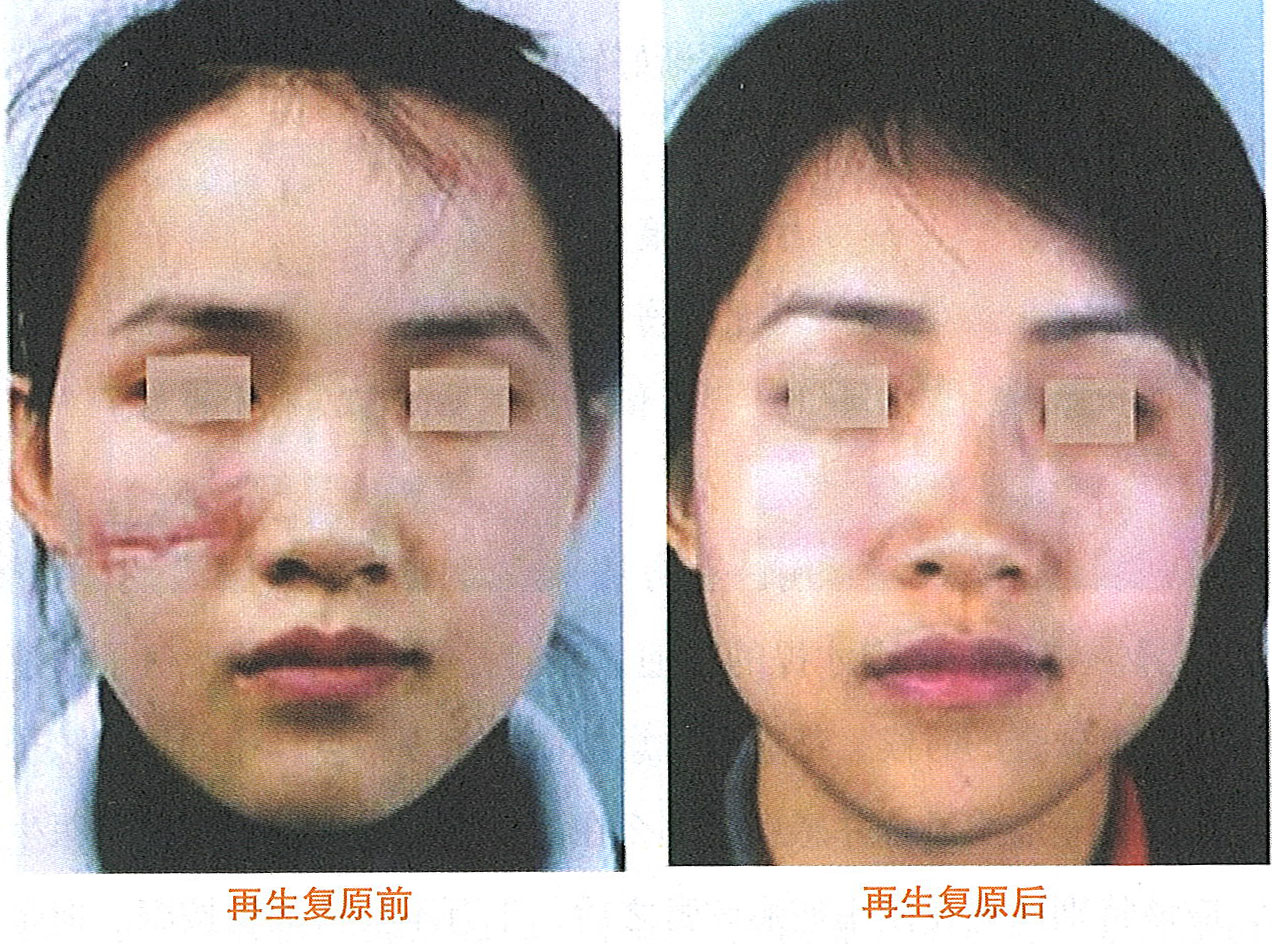 GA黄金甲(中国)最新官方网站
