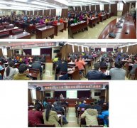 1-151204142S05X-lp