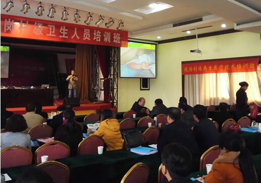 GA黄金甲(中国)最新官方网站