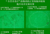 GA黄金甲(中国)最新官方网站