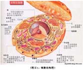 GA黄金甲(中国)最新官方网站